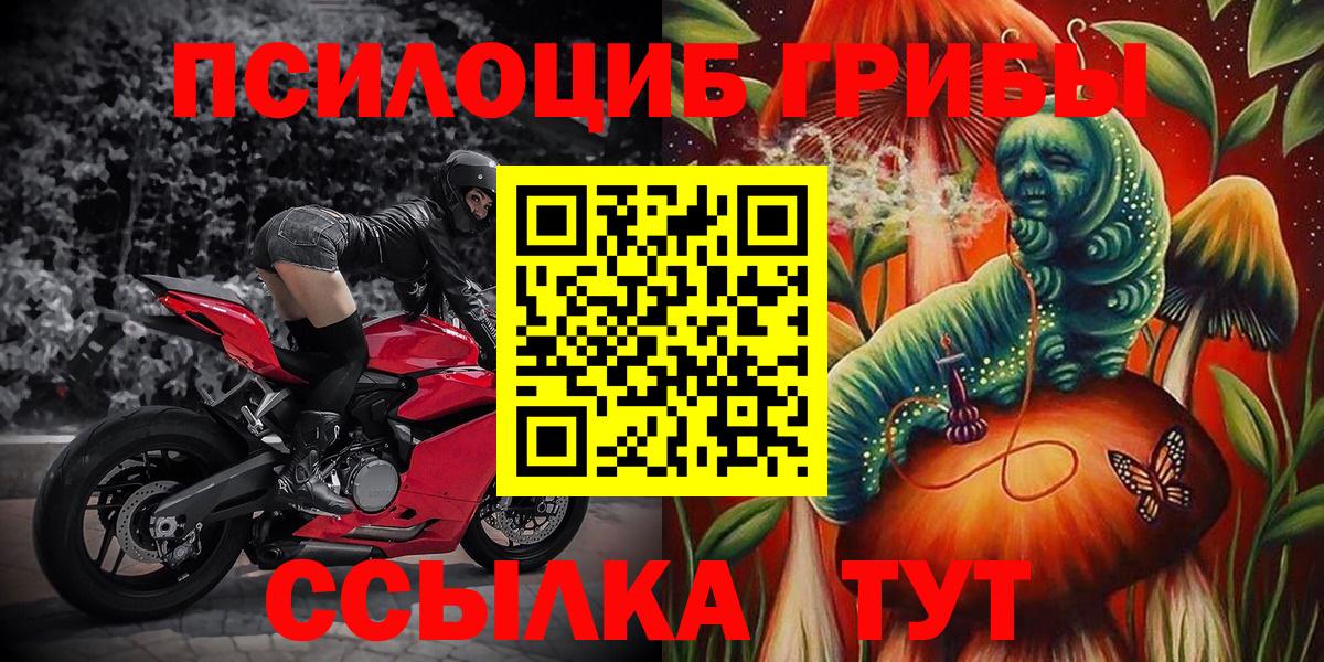 закладки  Вход с VPN  Новороссийск  Галлюциногенные грибы мицелий 
